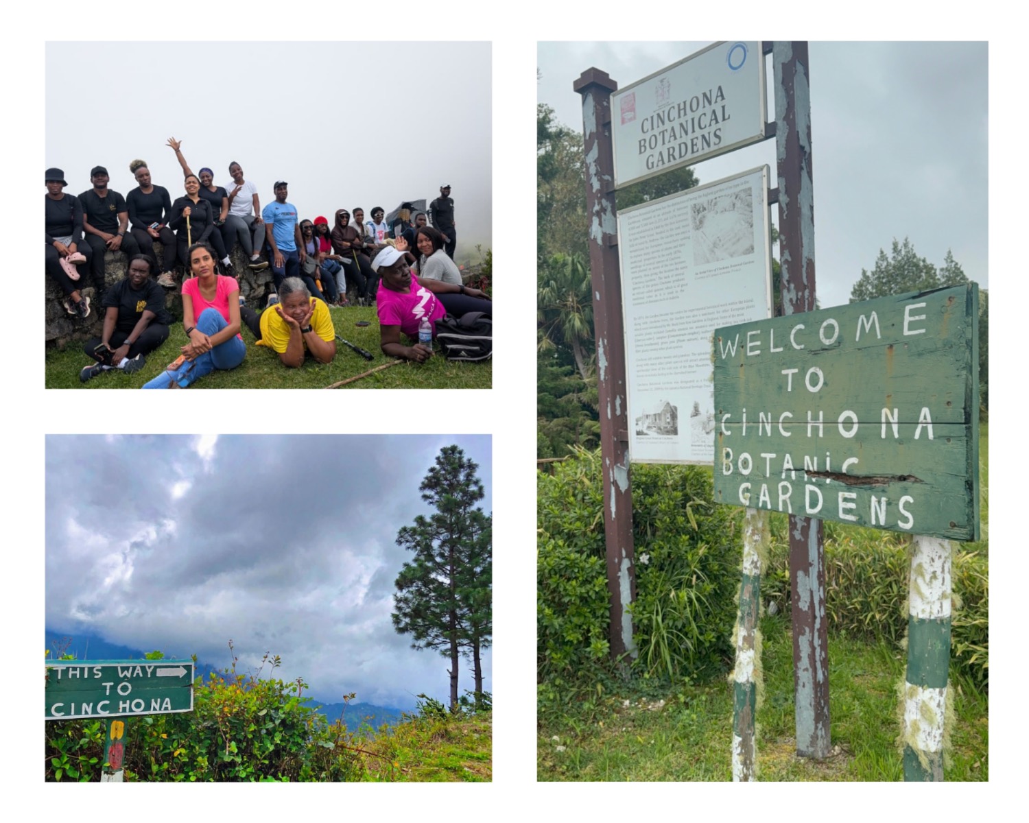 Misty mountain conditions near the Cinchona trail showing low-visibility weather