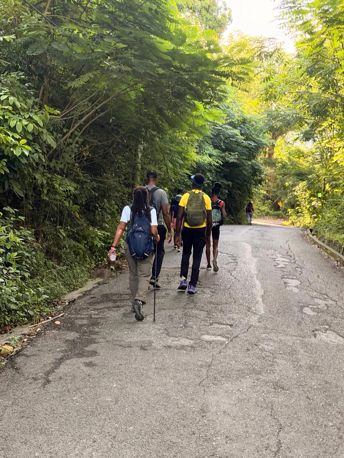 Auntie’s Backyard: A Rio Nuevo Hike Through History and Home