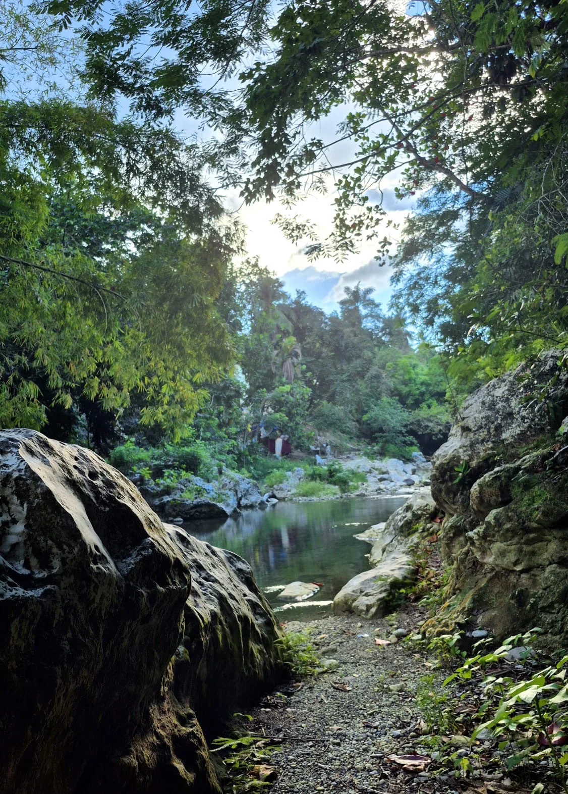 A river pool lies between large boulders beneath overhanging trees, with a gravel bank in the foreground.