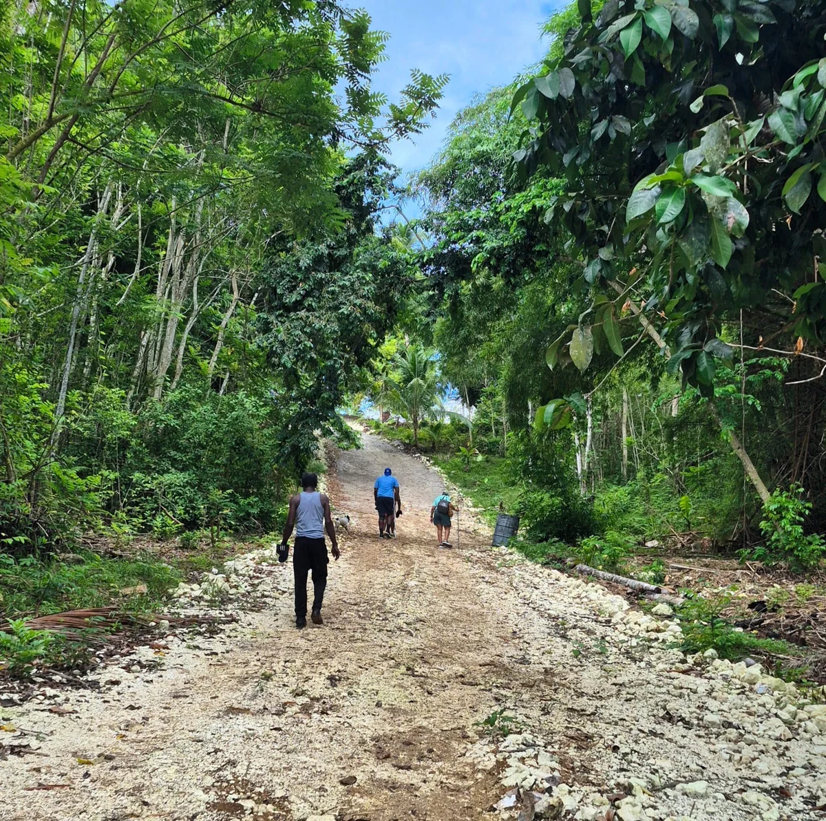 Walkers follow a rough uphill road through dense green vegetation.