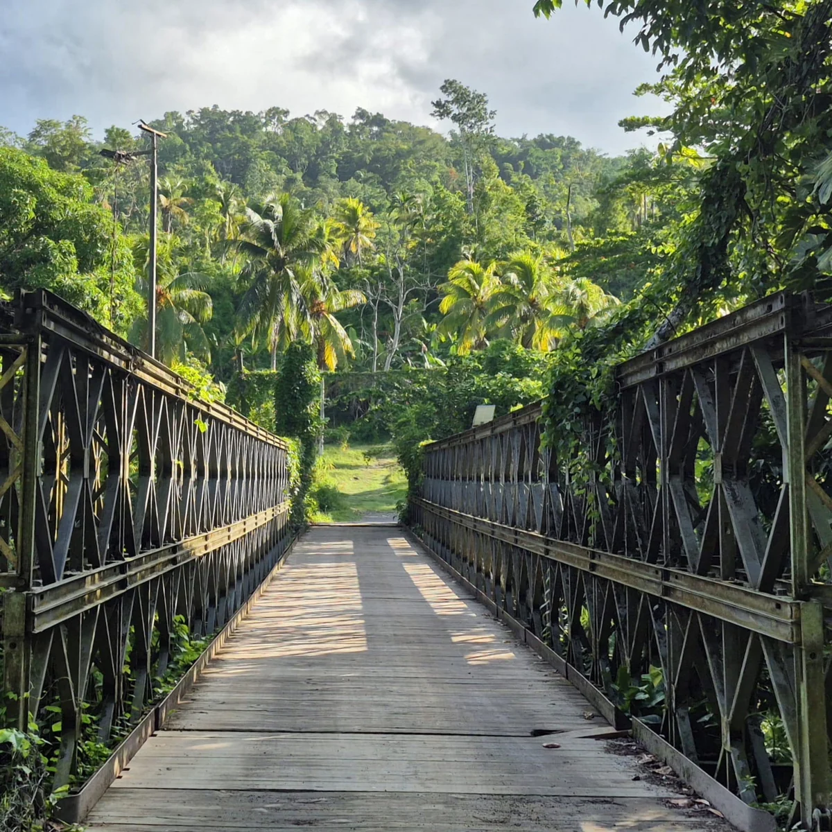 Wooden decking and metal trusses lead across an empty bridge towards palms and green hills.