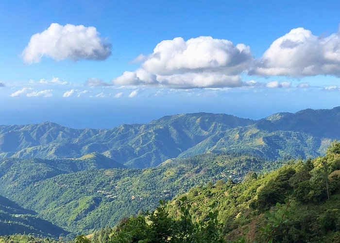 Blue Mountain Peak Jamaica