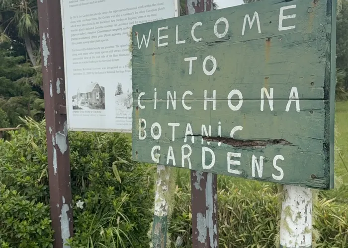 Cinchona Botanical Gardens trail in the Blue Mountains