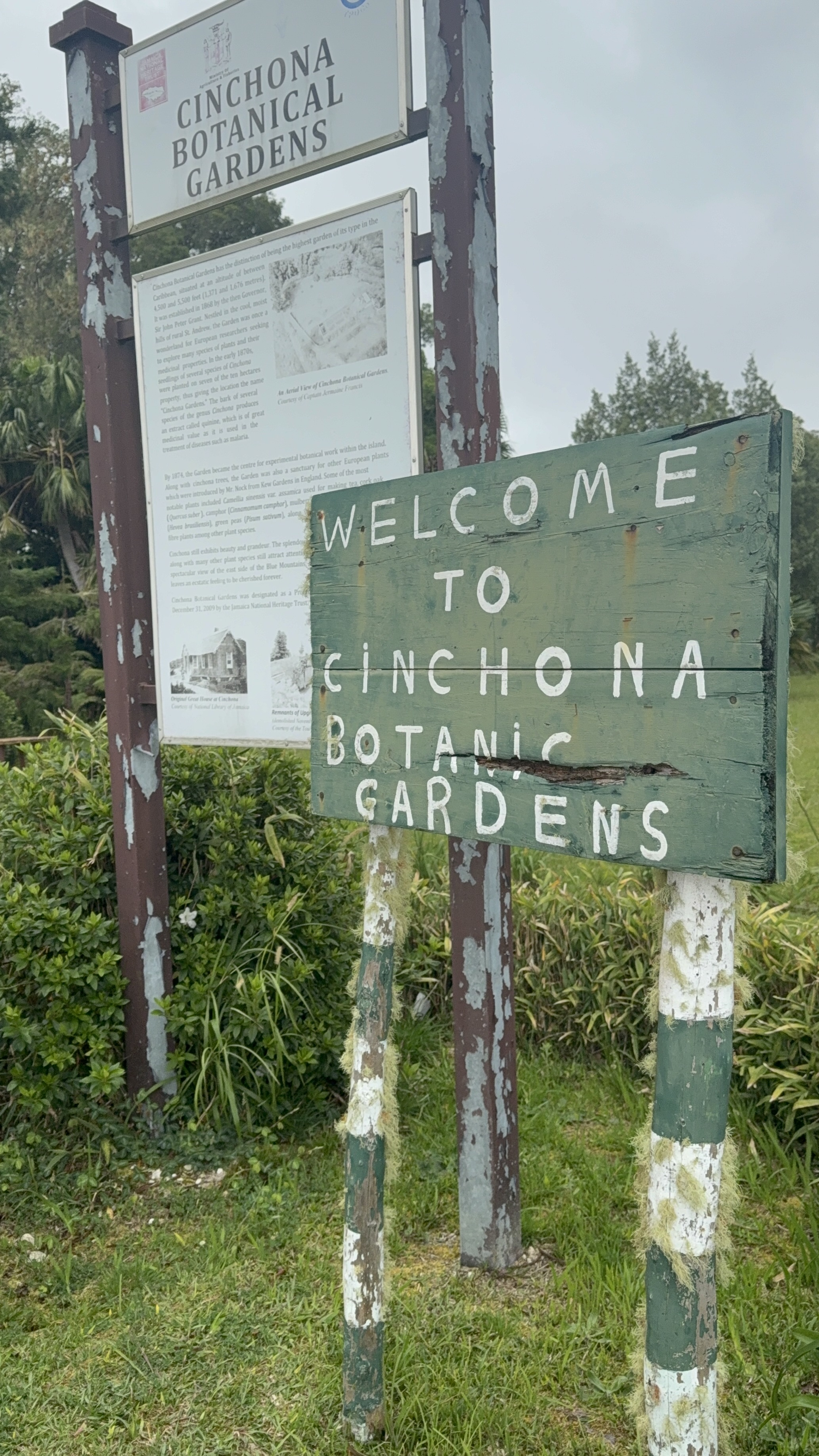 Cinchona Botanical Gardens trail in the Blue Mountains