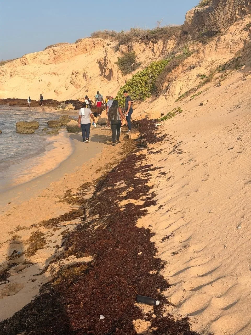 Lifestyle Hikers walking along the Hellshire coastline, seaweed, cliffs, and clear water