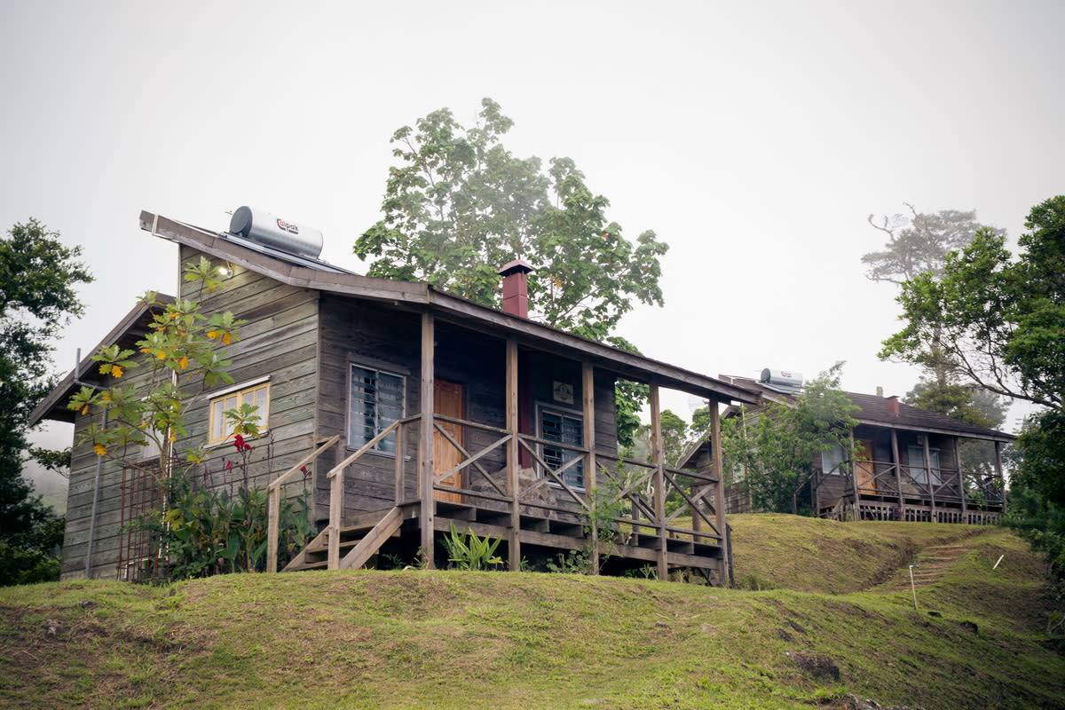 Holywell Nature Trails in the Blue Mountains