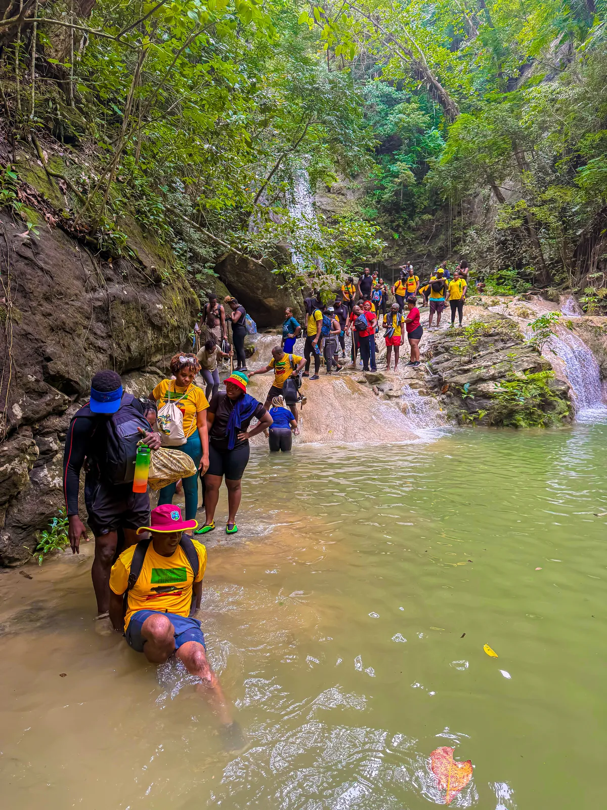 Hiking in Jamaica: The Complete Trail Guide (2026) | Lifestyle Hikers