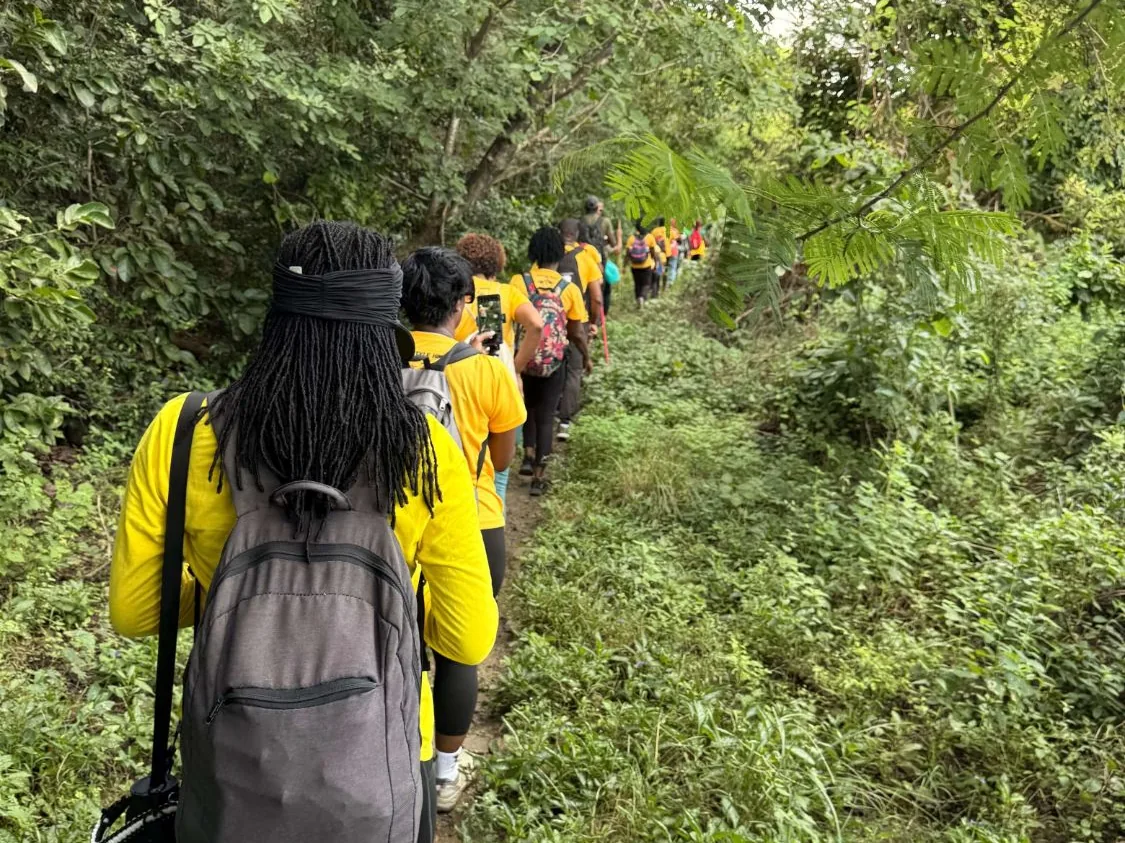 A line of Lifestyle Hikers in yellow shirts on the trail to Kwame Falls