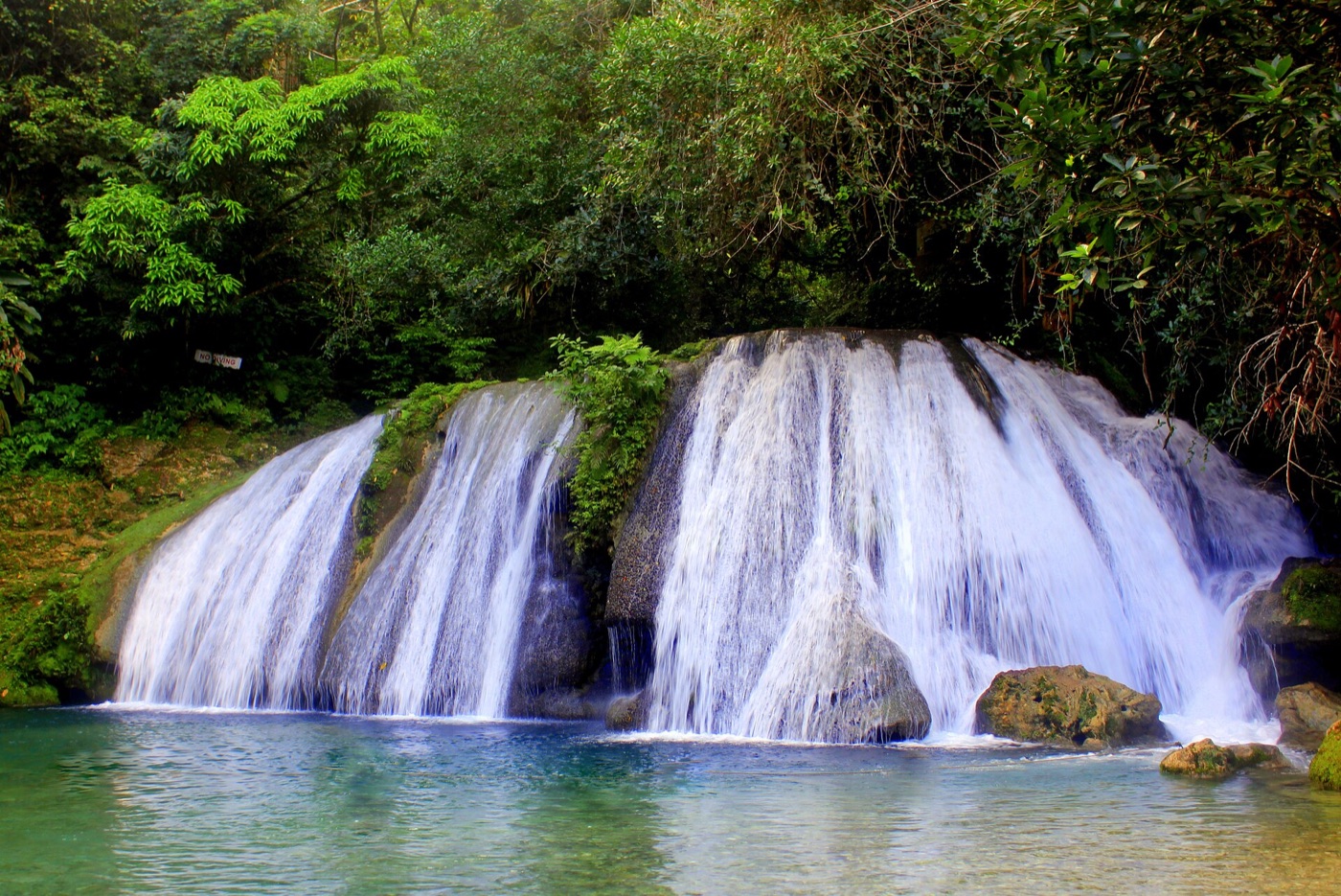 Reach Falls and surrounding rainforest in Portland, Jamaica