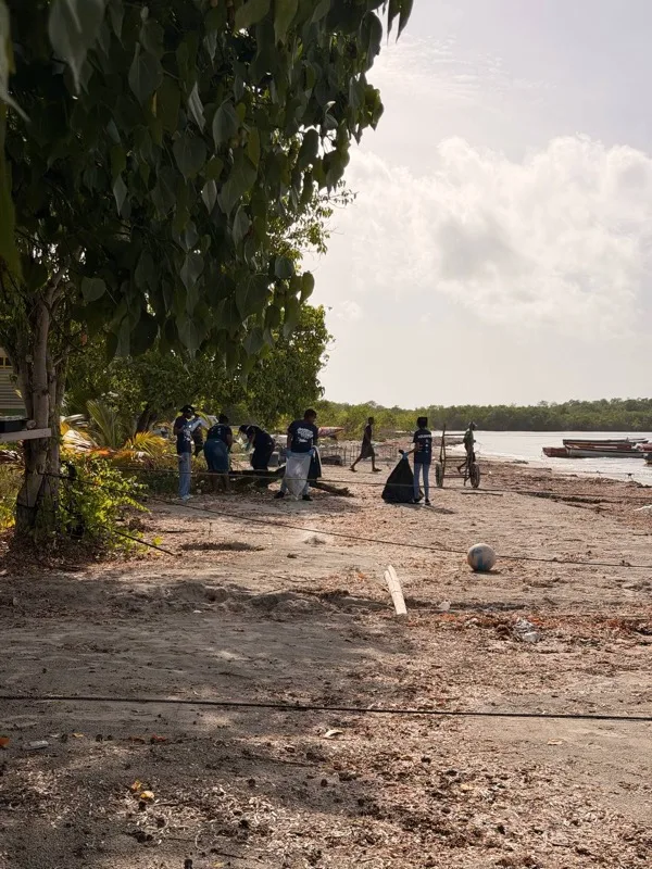 Volunteers collecting litter along the Rocky Point shoreline