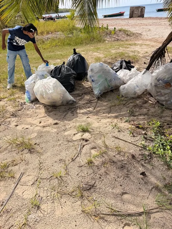 Garbage bags filled with collected waste at the Rocky Point cleanup