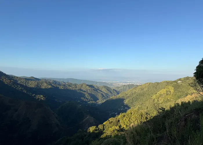 top of the hill looking down liguanea